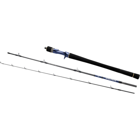 Saltiga Jigging Travel Spinning Rods