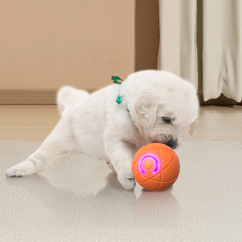 Interactive Pet Ball Toy for Cats & Dogs – Automatic & Remote-Controlled