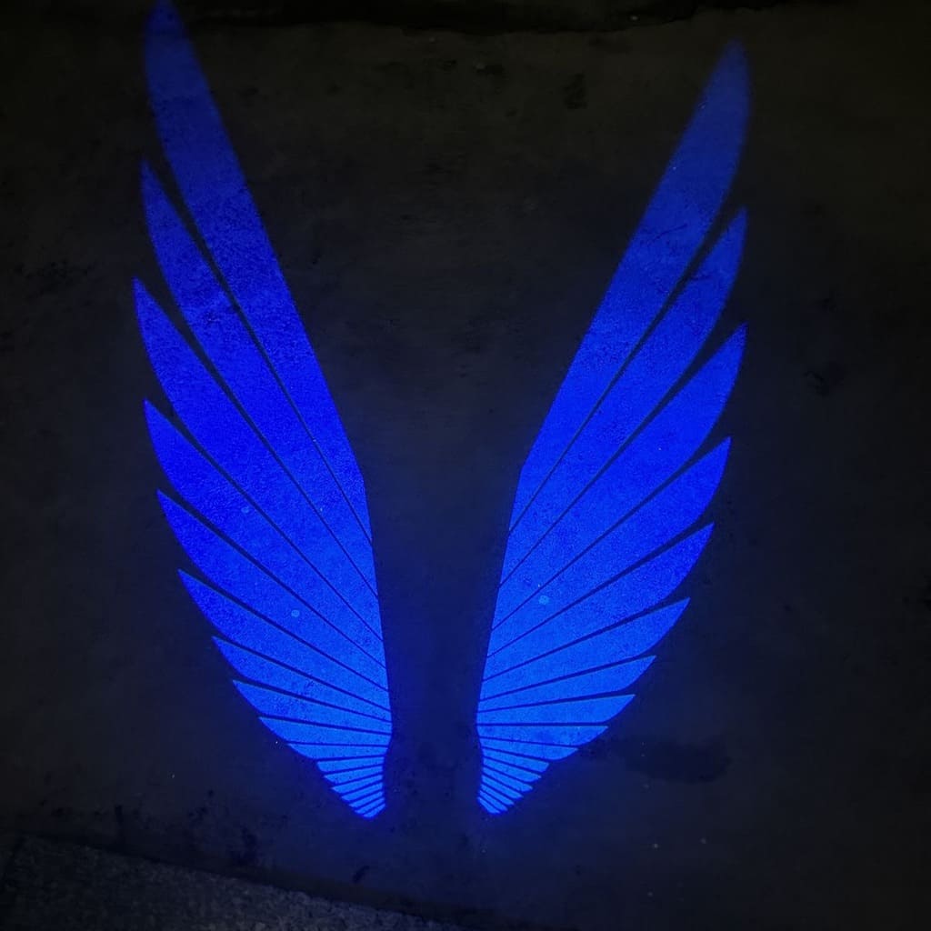 Angel Wings Puddle Lights Universal